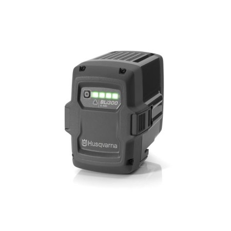 Akumulator BLi300