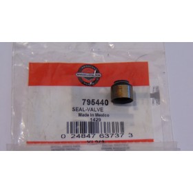 Uszczelniacz zaworów