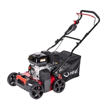 Wertykulator spalinowy Cedrus WR01